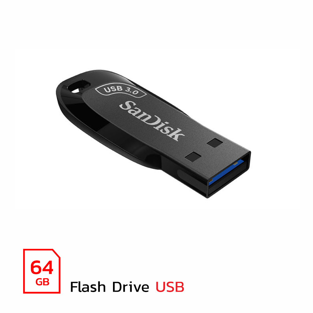 SanDisk Flash Drive,CZ410 (64GB)